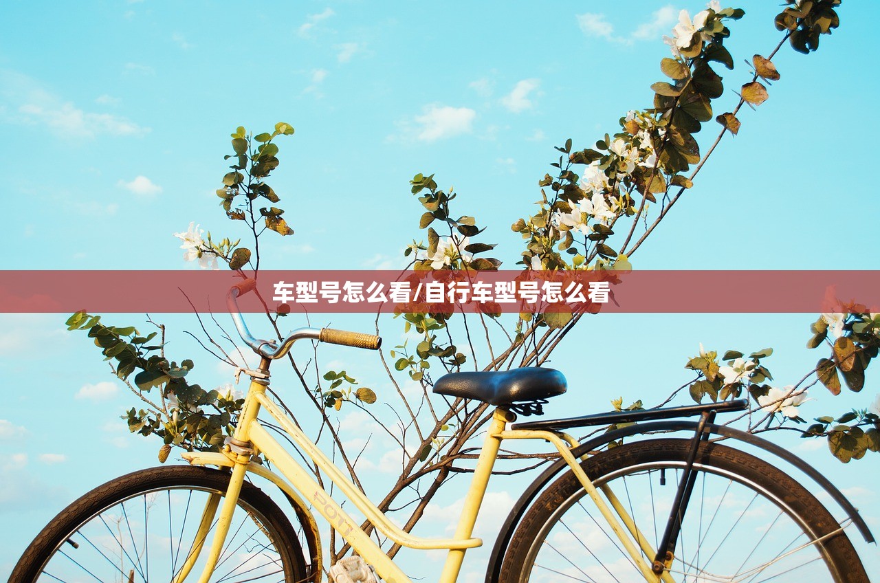 车型号怎么看/自行车型号怎么看