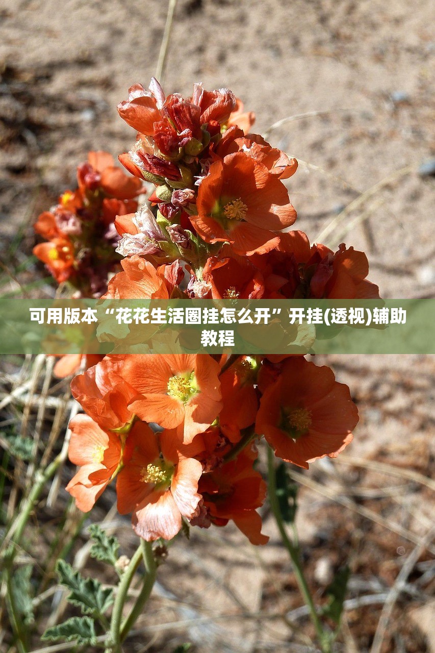 可用版本“欢乐茶馆怎么开挂”开挂(透视)辅助神器