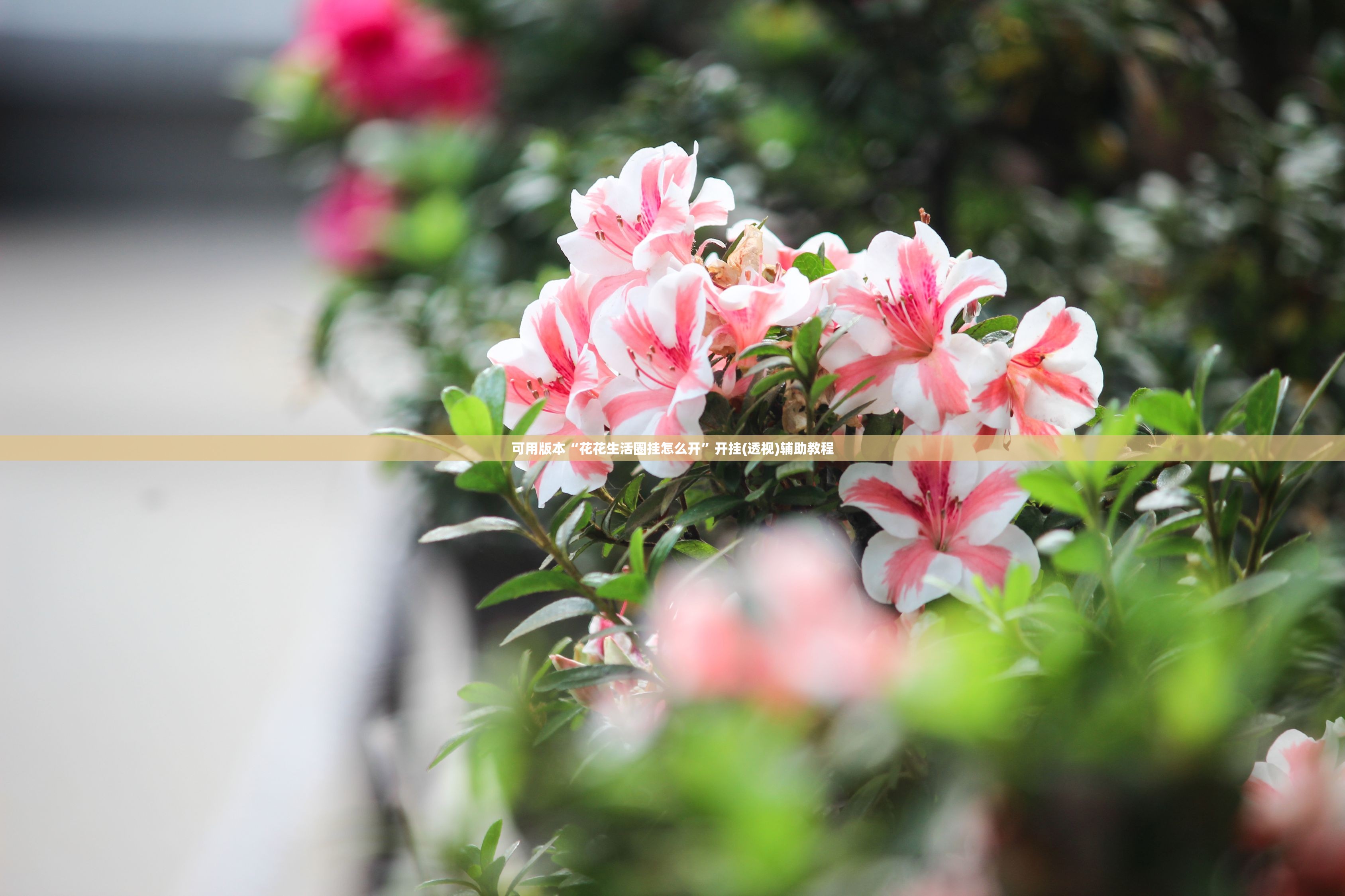 可用版本“花花生活圈挂怎么开	”开挂(透视)辅助教程
