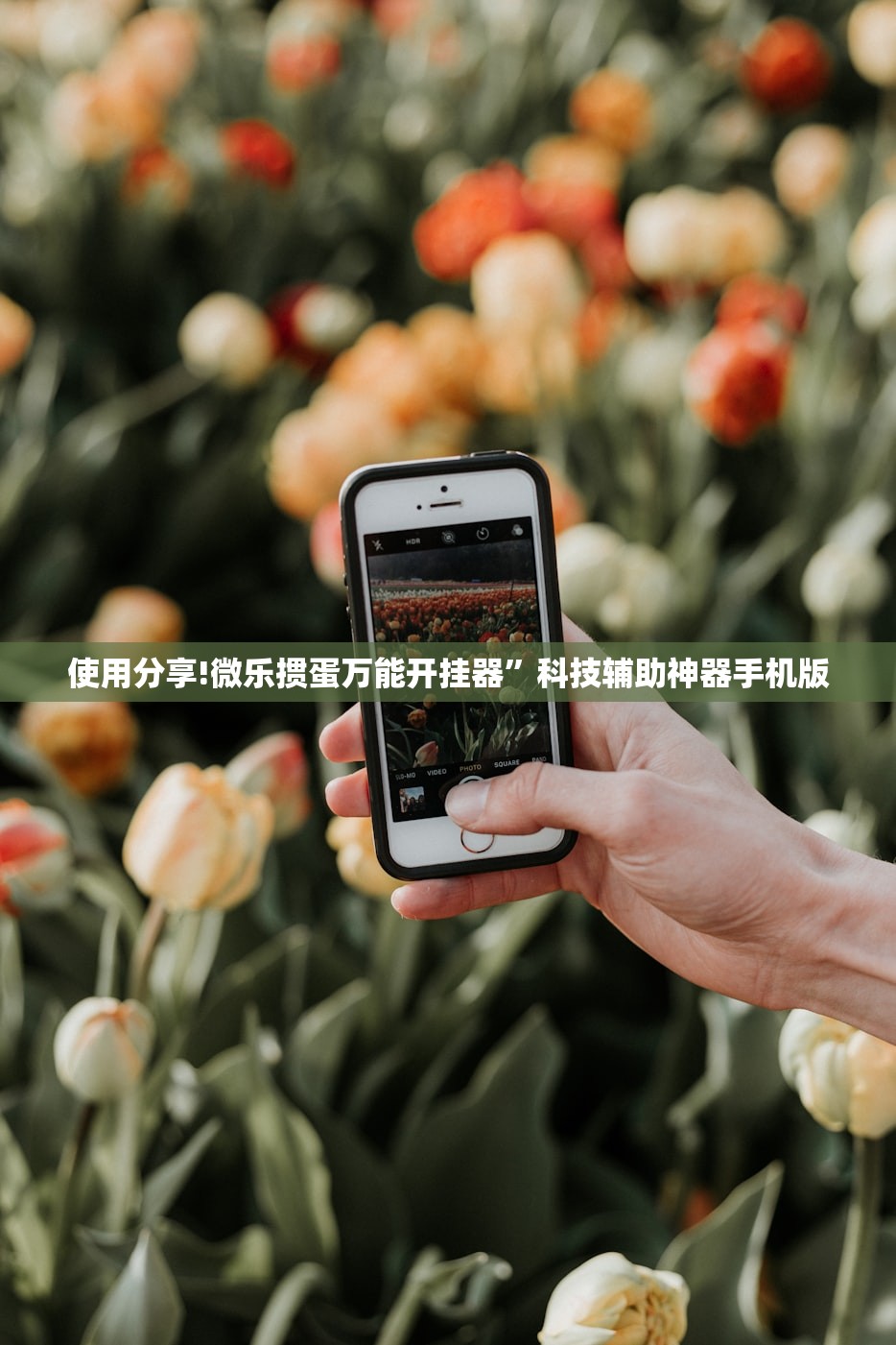 使用分享!微乐掼蛋万能开挂器”科技辅助神器手机版