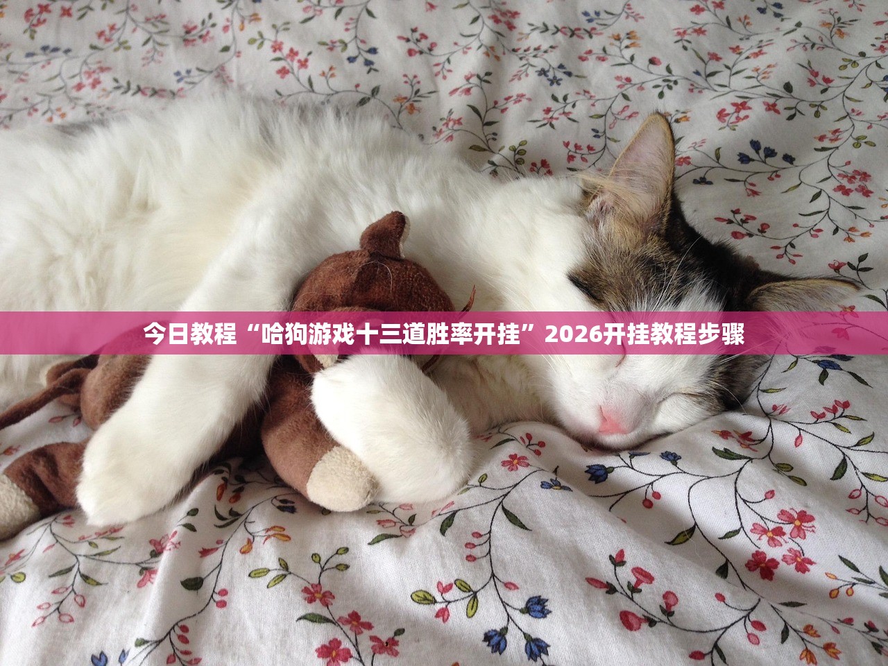 助赢神器“中至吉安麻将怎么开挂”(免费)开挂辅助教学(最新辅助开挂教程)