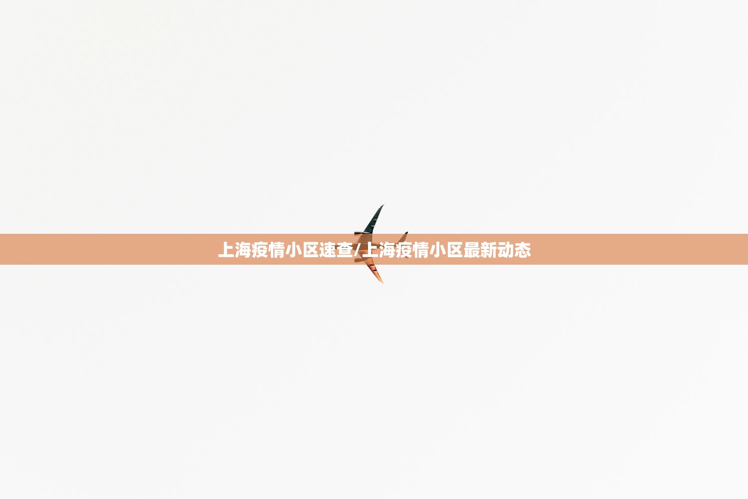 上海疫情小区速查/上海疫情小区最新动态