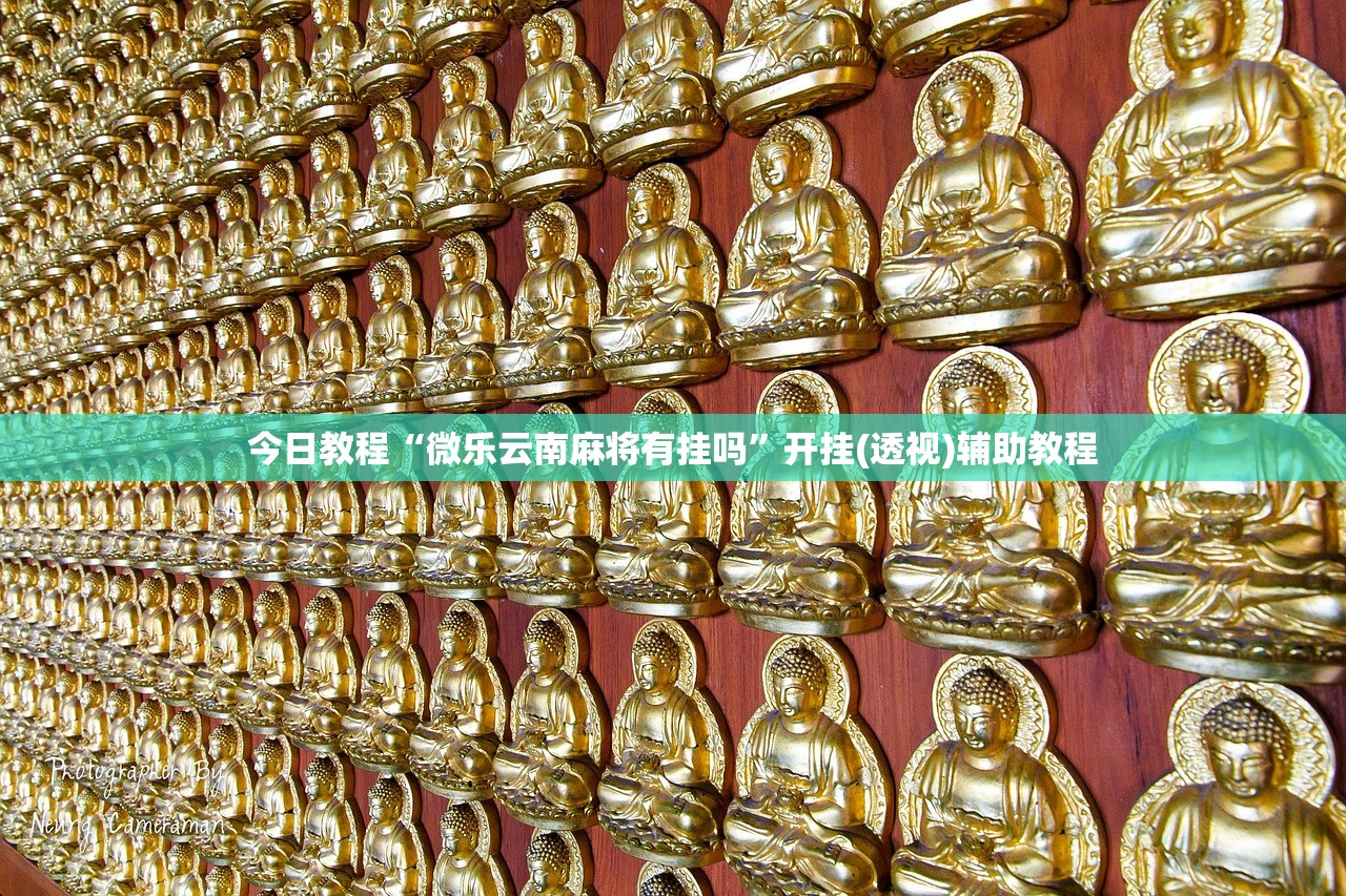 今日教程“微乐云南麻将有挂吗	”开挂(透视)辅助教程