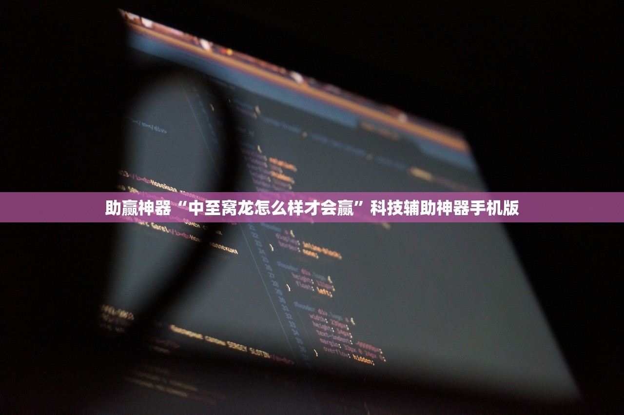 助赢神器“中至窝龙怎么样才会赢	”科技辅助神器手机版