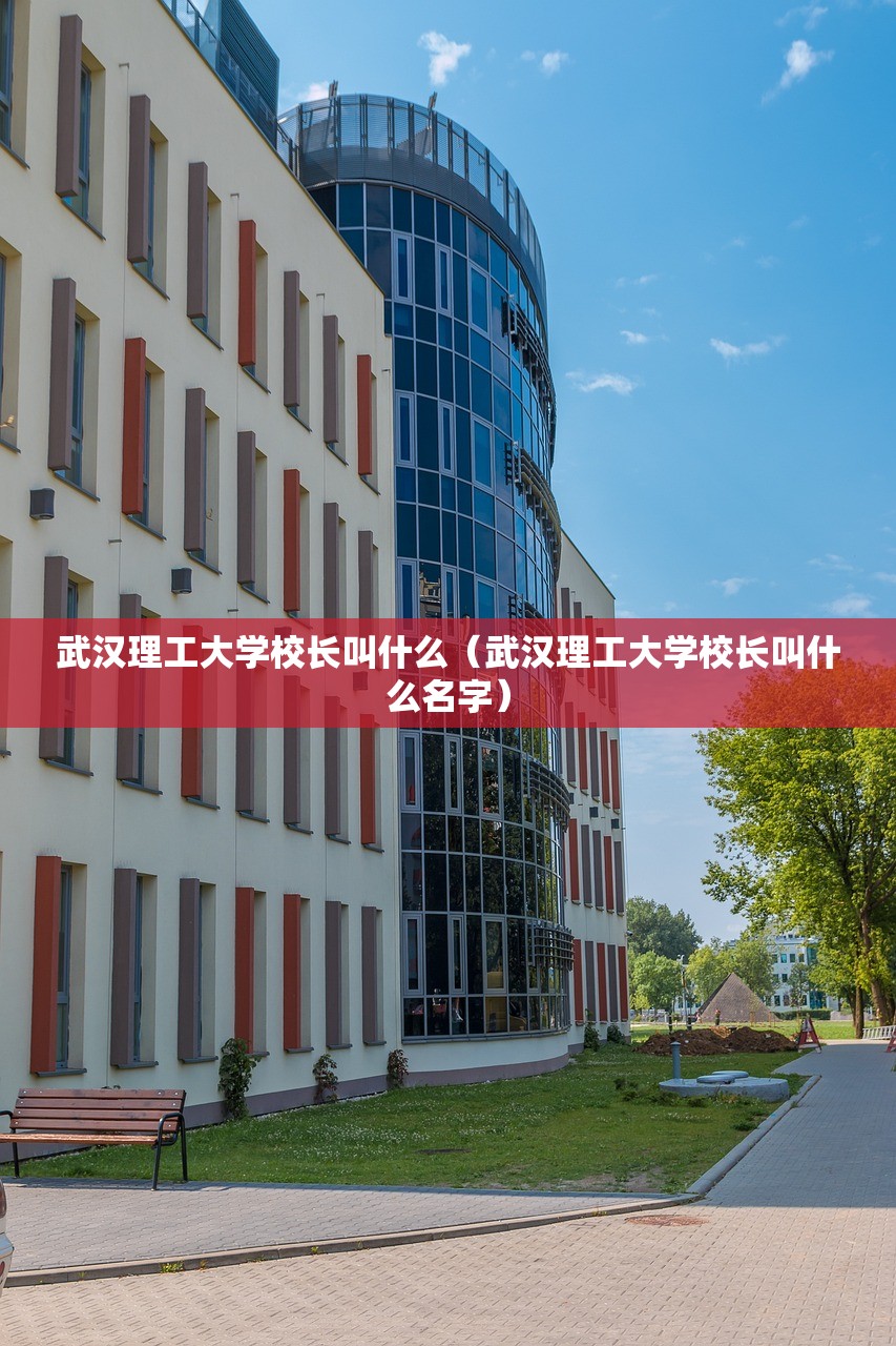 武汉理工大学校长叫什么（武汉理工大学校长叫什么名字）