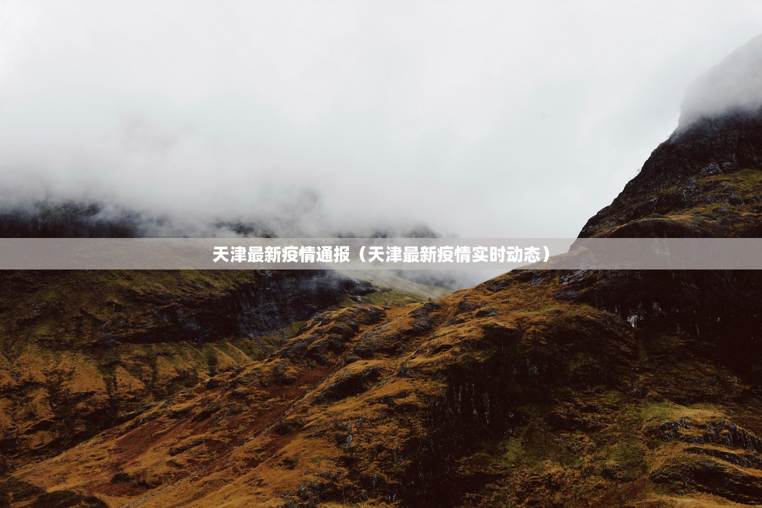 天津最新疫情通报（天津最新疫情实时动态）