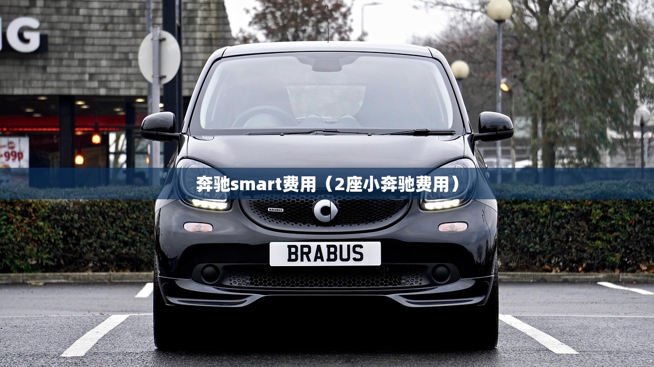 奔驰smart费用（2座小奔驰费用）