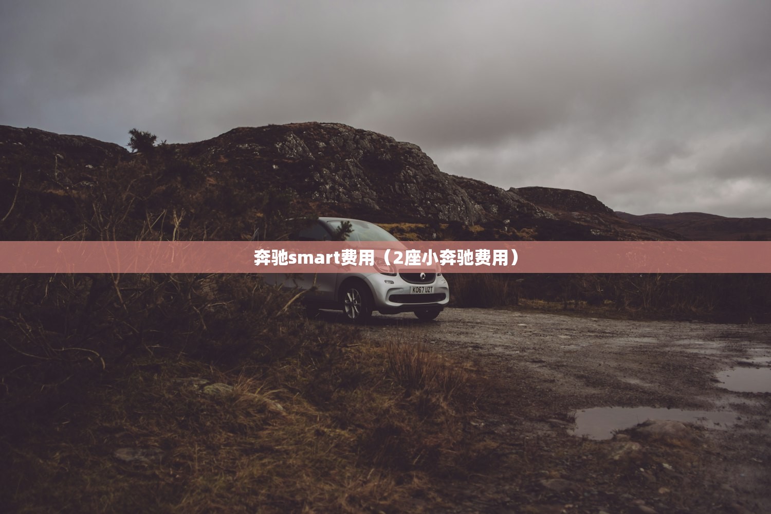 奔驰smart费用（2座小奔驰费用）