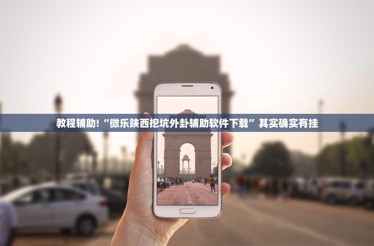 必备科技“微乐陕西挖坑怎么开挂”(透视)其实确实有挂