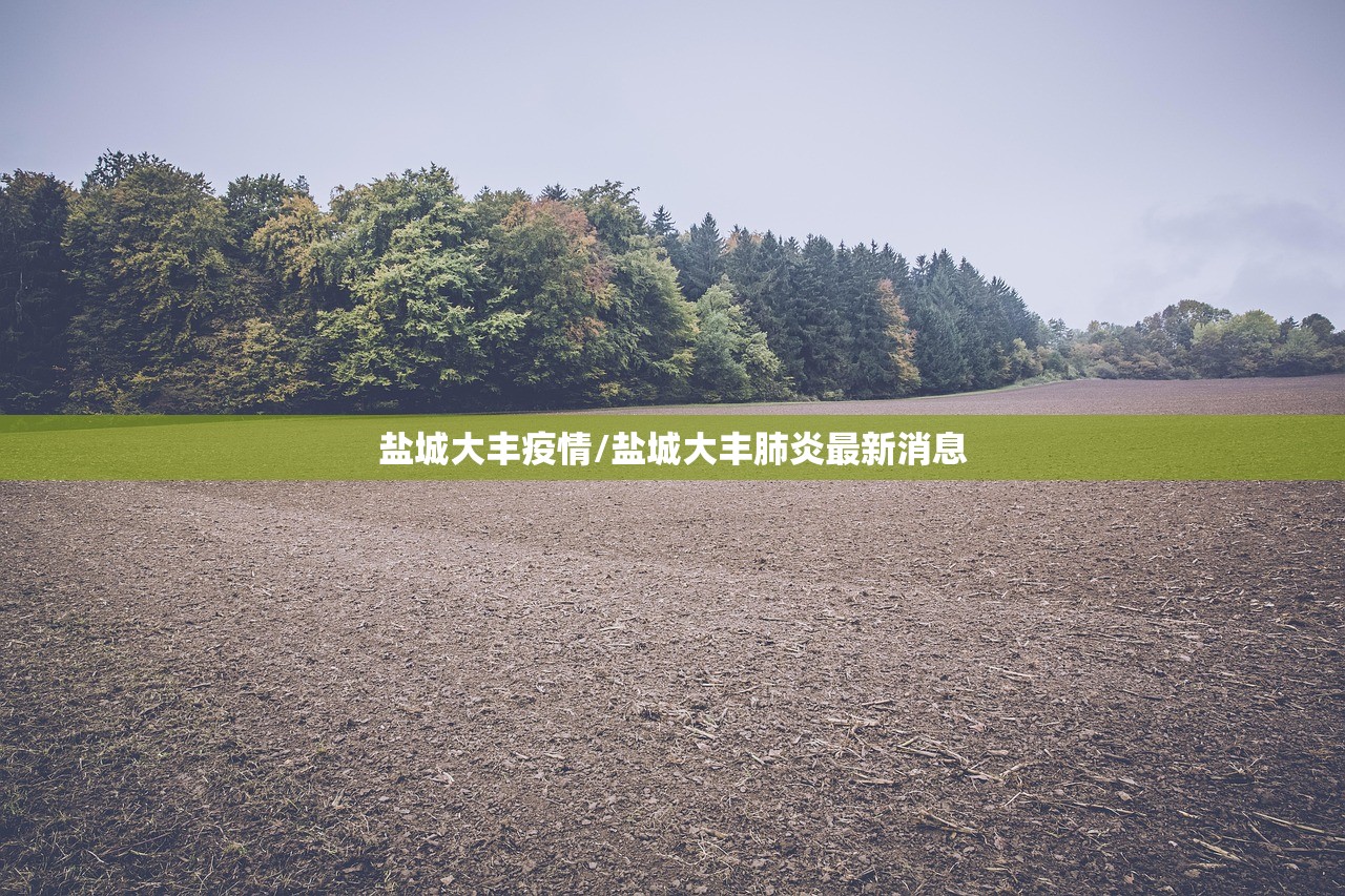 盐城大丰疫情/盐城大丰肺炎最新消息
