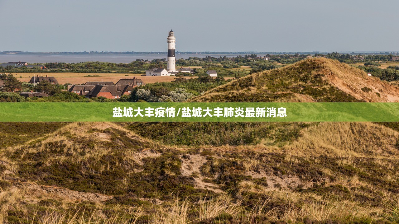 盐城大丰疫情/盐城大丰肺炎最新消息