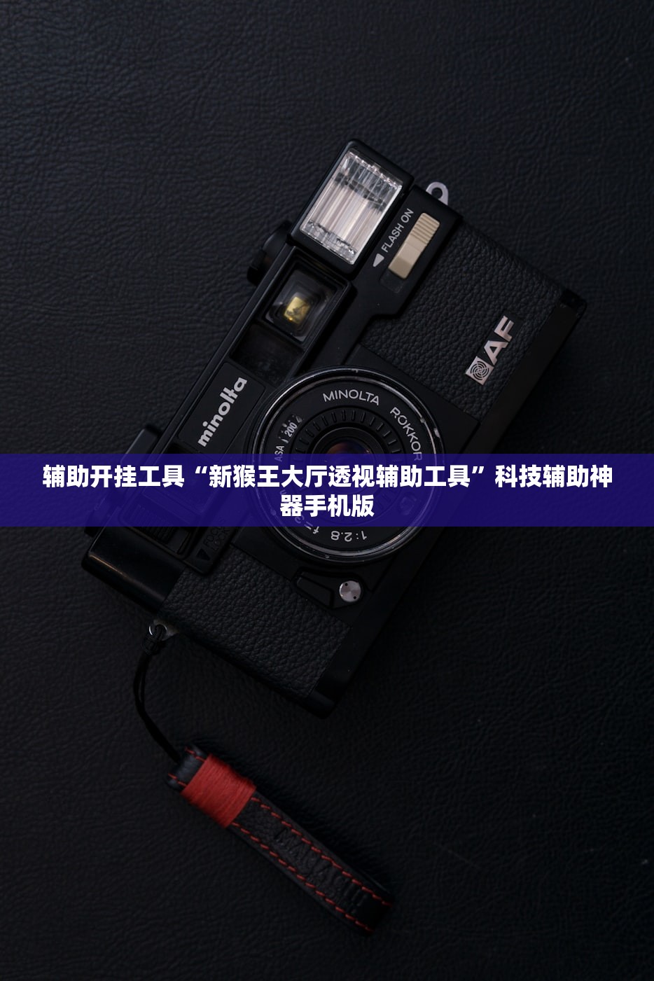 辅助开挂工具“新猴王大厅透视辅助工具	”科技辅助神器手机版