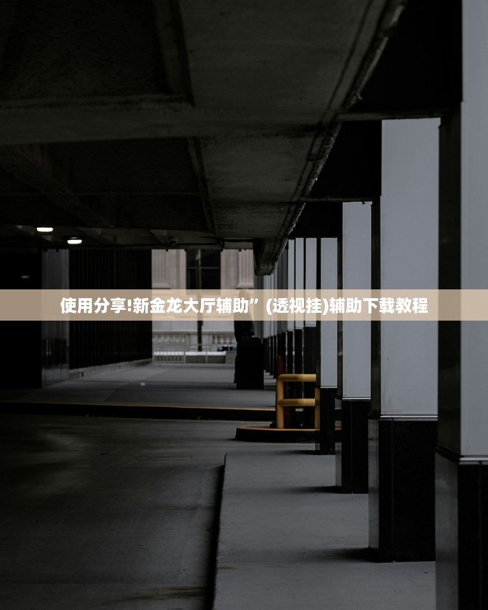 使用分享!新金龙大厅辅助”(透视挂)辅助下载教程