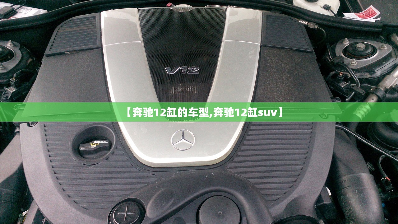 【奔驰12缸的车型,奔驰12缸suv】