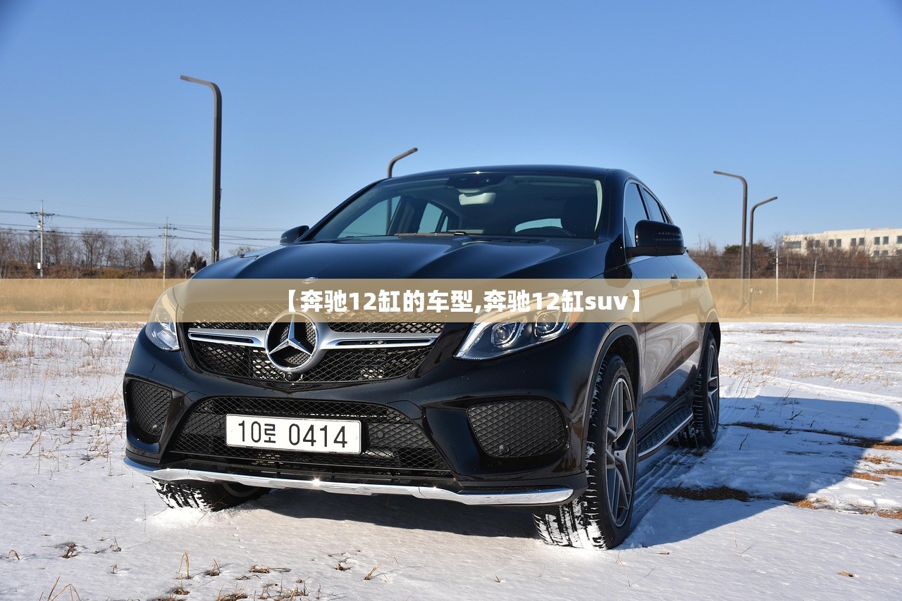 【奔驰12缸的车型,奔驰12缸suv】