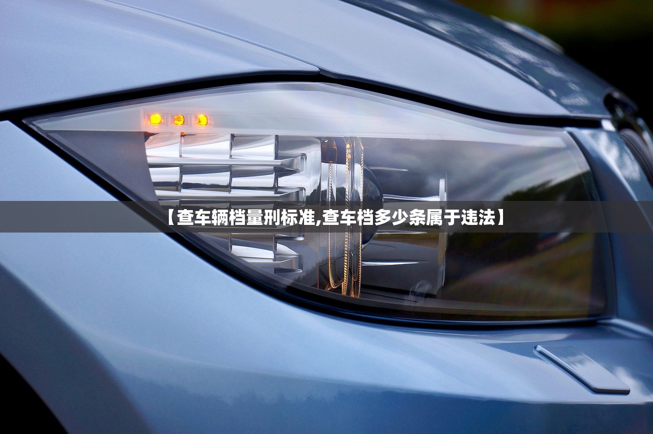【查车辆档量刑标准,查车档多少条属于违法】