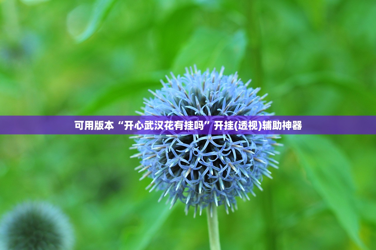 可用版本“开心武汉花有挂吗”开挂(透视)辅助神器