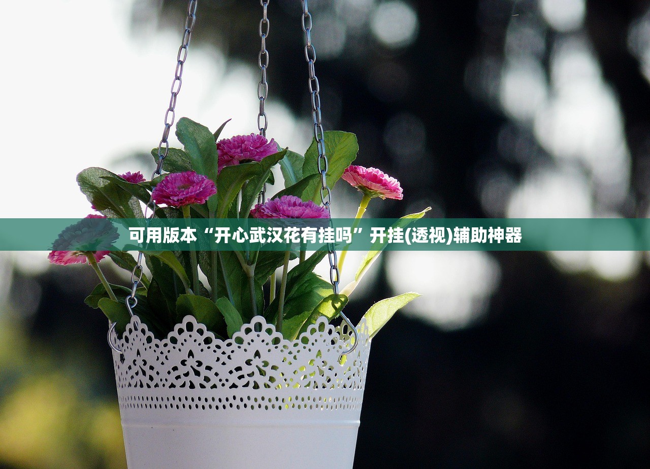 可用版本“开心武汉花有挂吗”开挂(透视)辅助神器