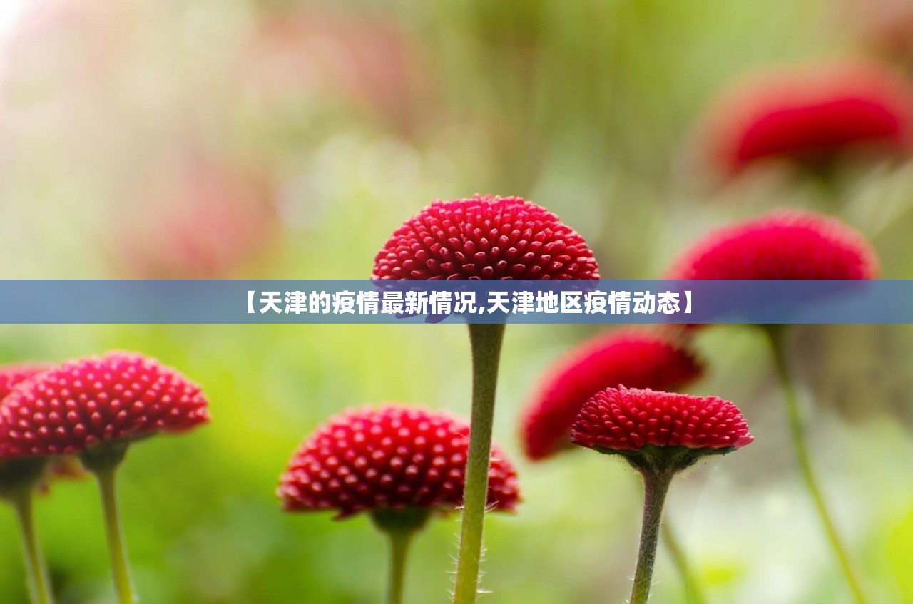【天津的疫情最新情况,天津地区疫情动态】 【天津的疫情最新情况,天津地区疫情动态】