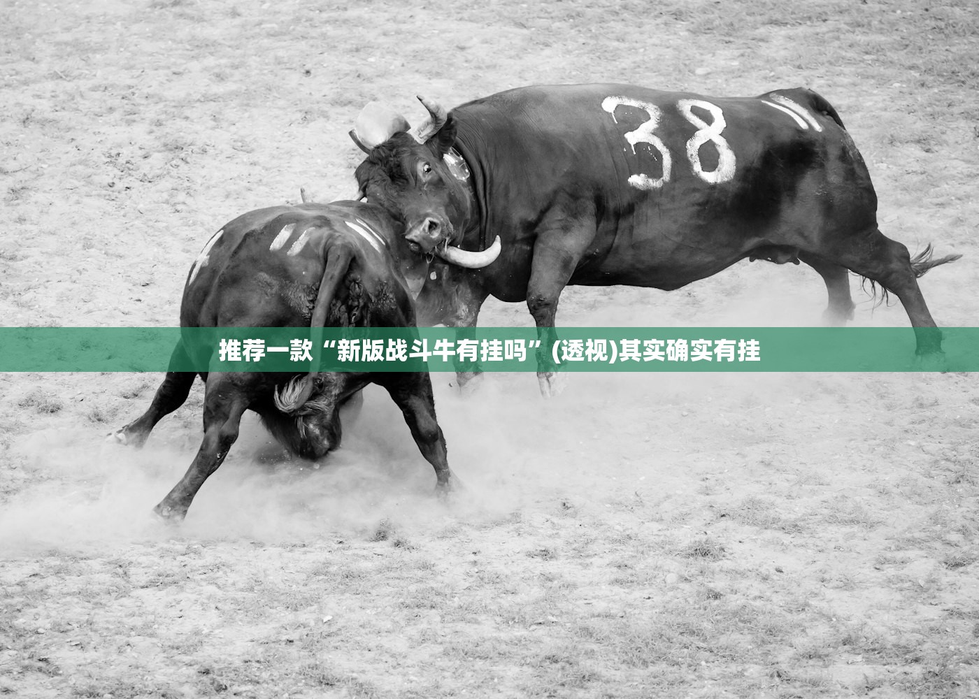 保时捷911历代车型的简单介绍