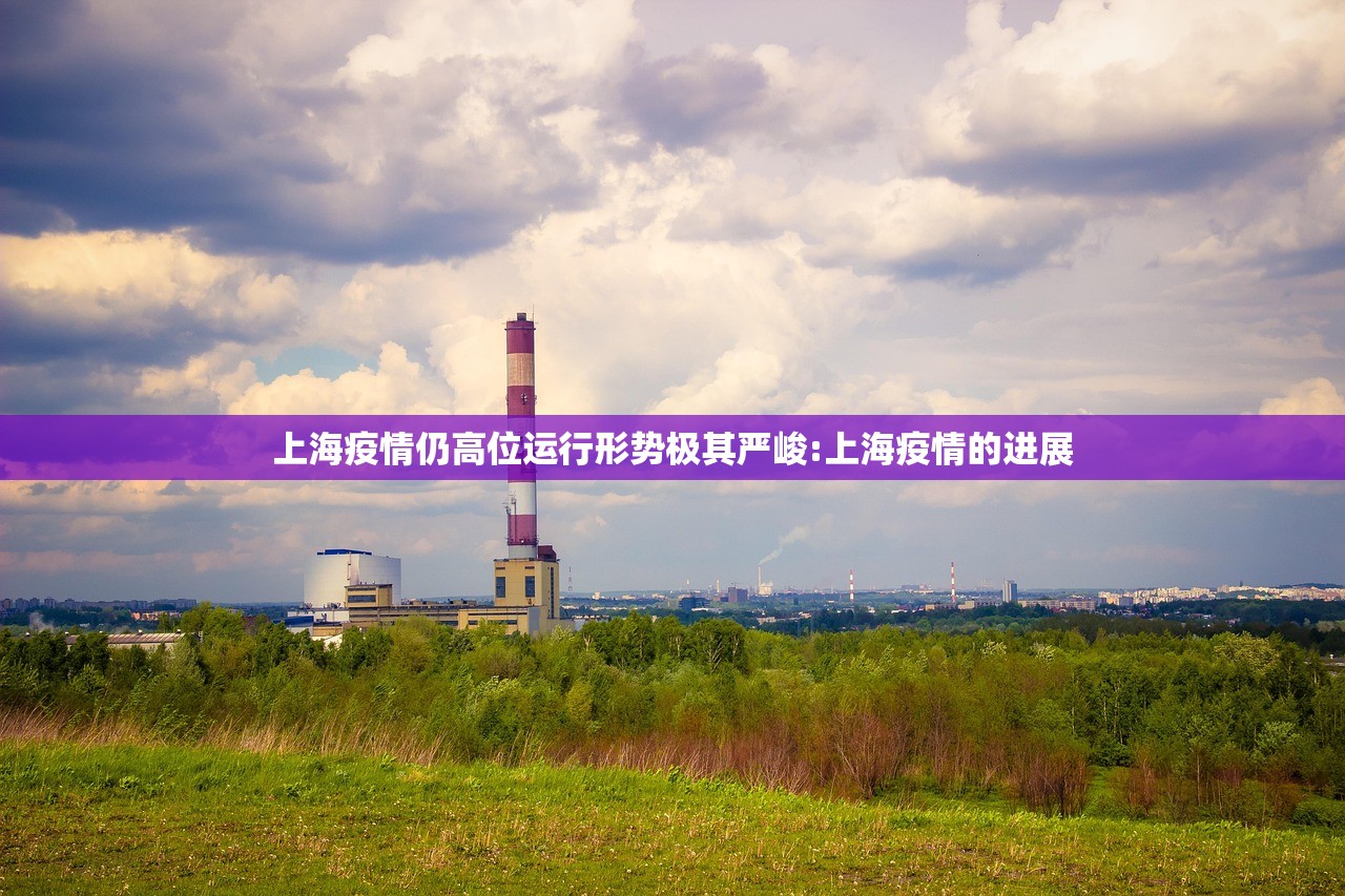 上海疫情仍高位运行形势极其严峻:上海疫情的进展
