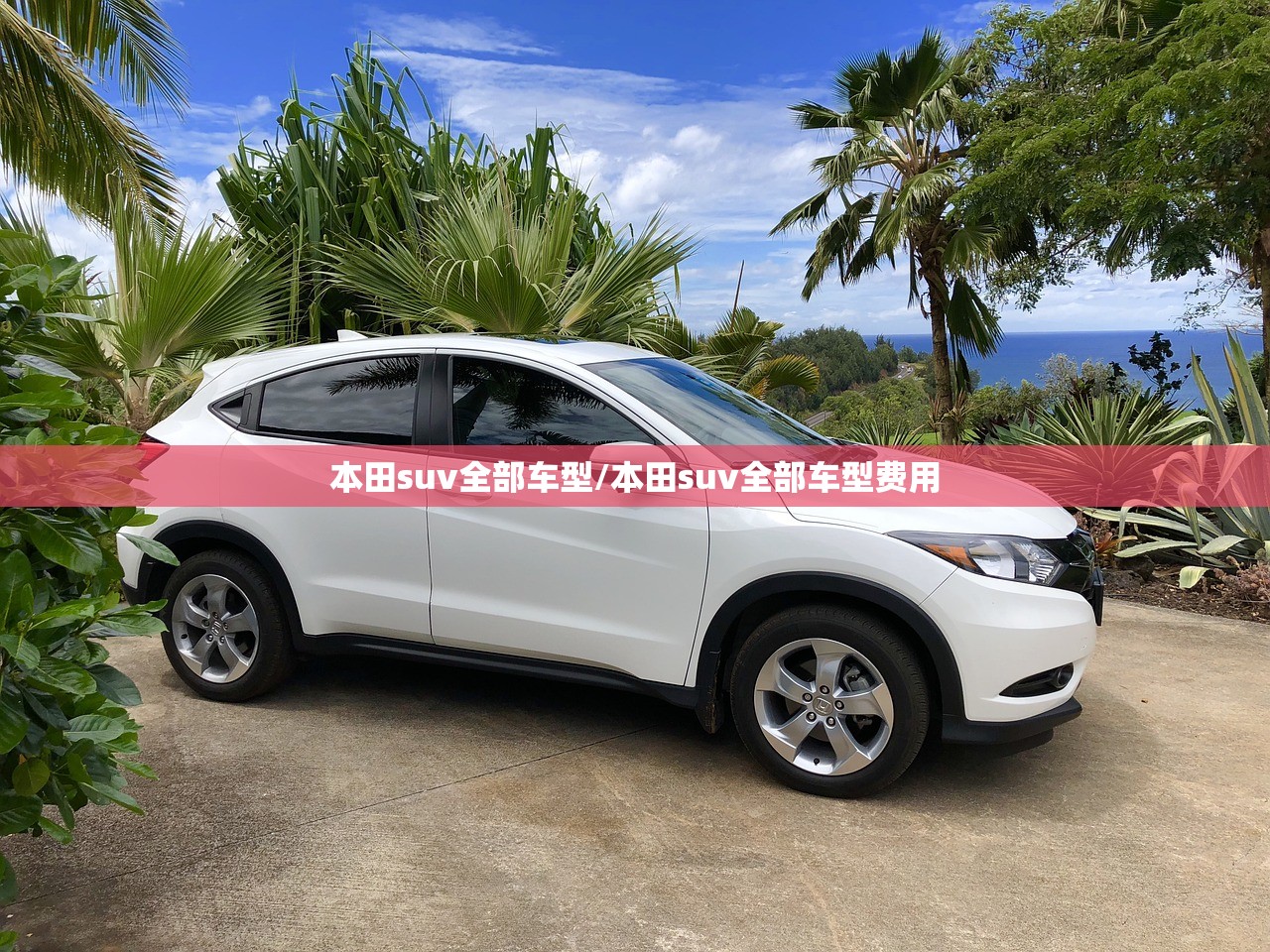 本田suv全部车型/本田suv全部车型费用