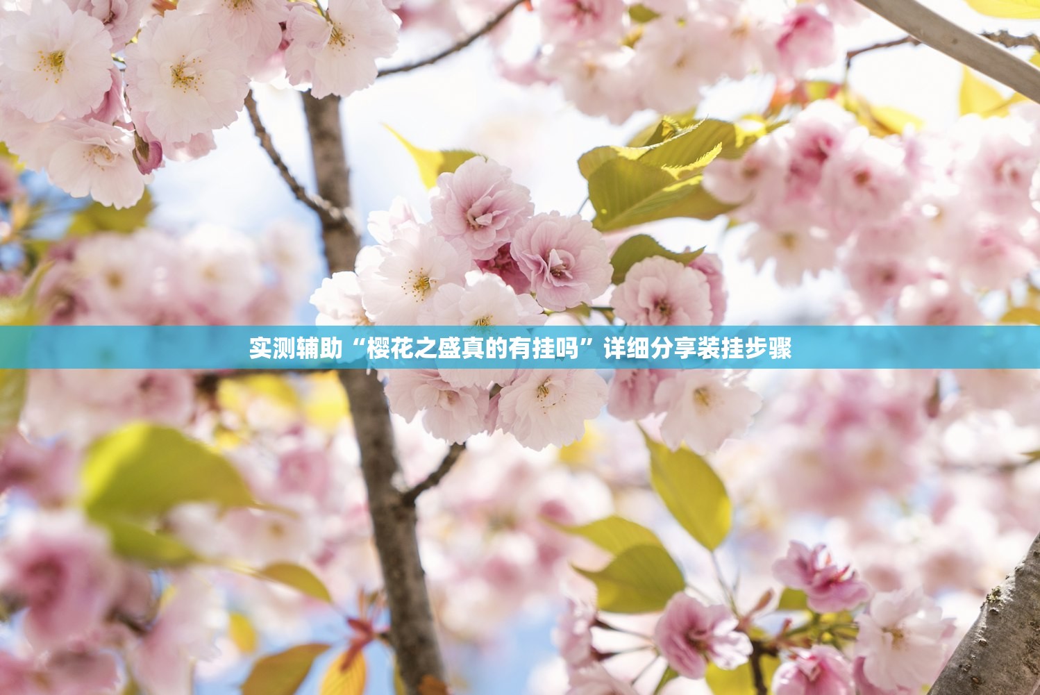 【青岛新增96例本土确诊无症状205例,青岛公布新增6例确诊病例详情,均系无症状感染者转归】