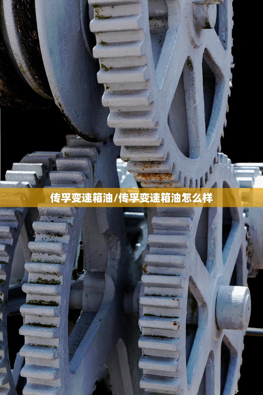 传孚变速箱油/传孚变速箱油怎么样 传孚变速箱油/传孚变速箱油怎么样