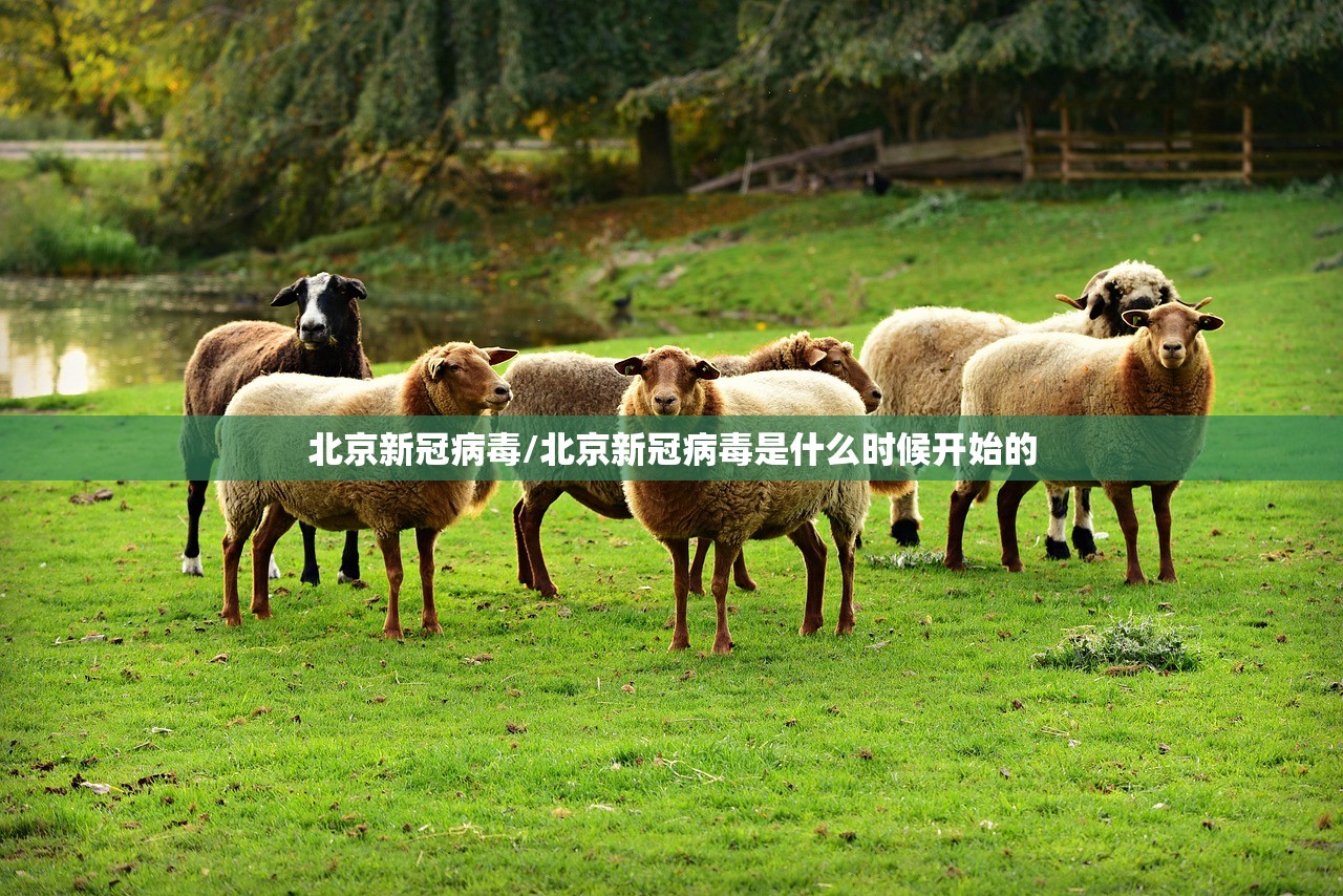 分享实测辅助“东阳四副牌外卦辅助软件下载”(辅助神器)开挂详细教程