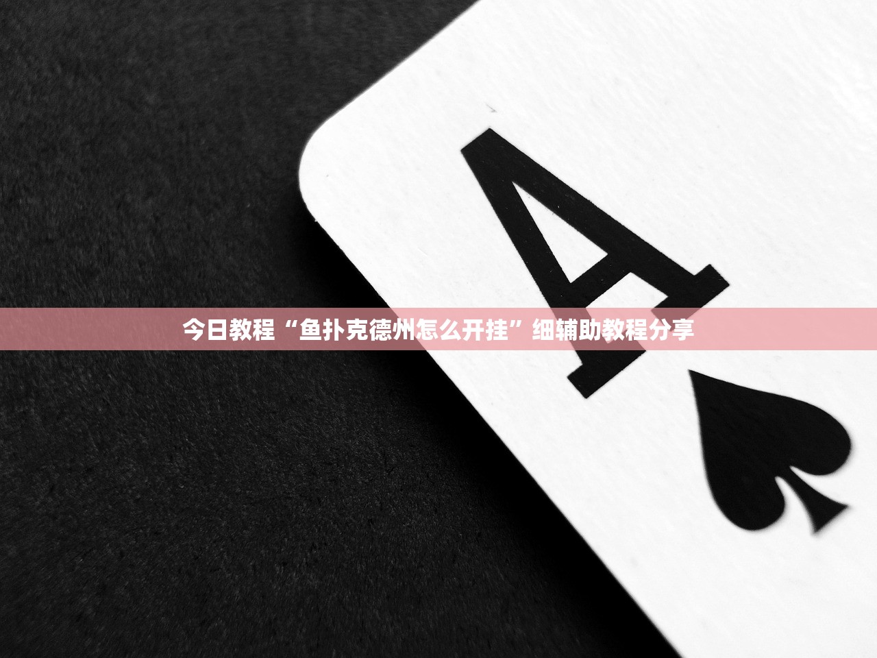 今日教程“鱼扑克德州怎么开挂”细辅助教程分享