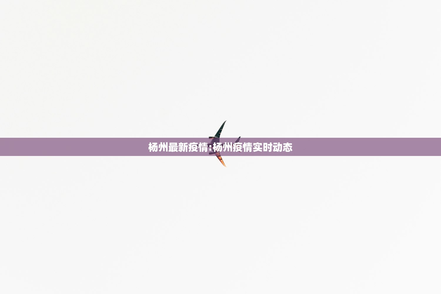 杨州最新疫情:杨州疫情实时动态