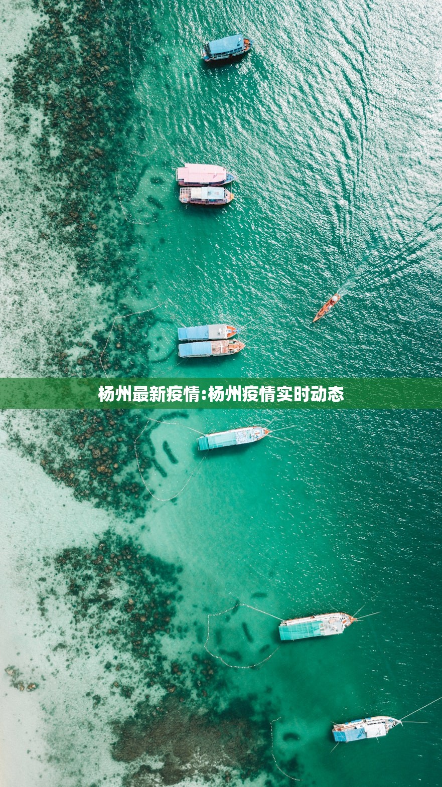 杨州最新疫情:杨州疫情实时动态