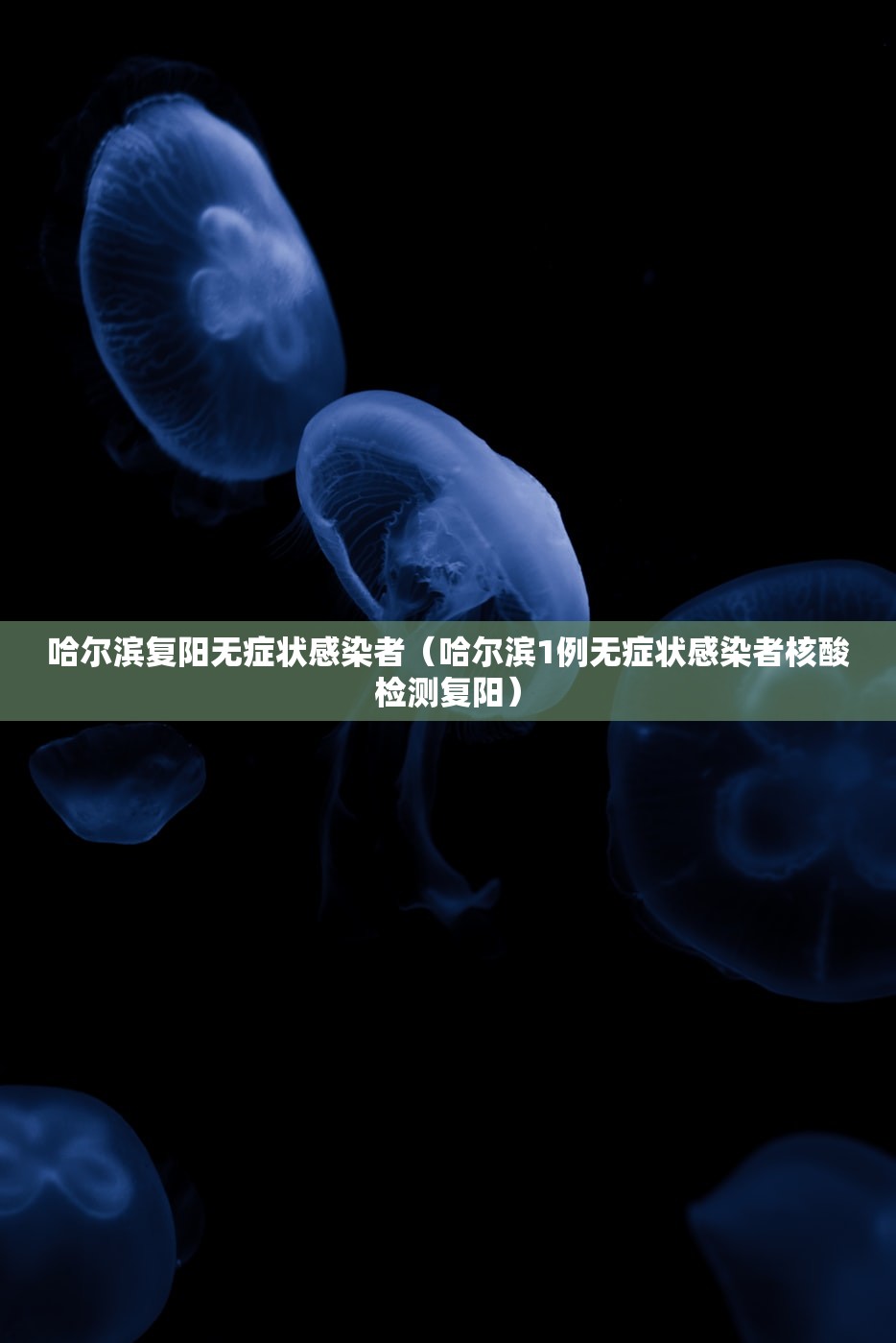 哈尔滨复阳无症状感染者（哈尔滨1例无症状感染者核酸检测复阳）