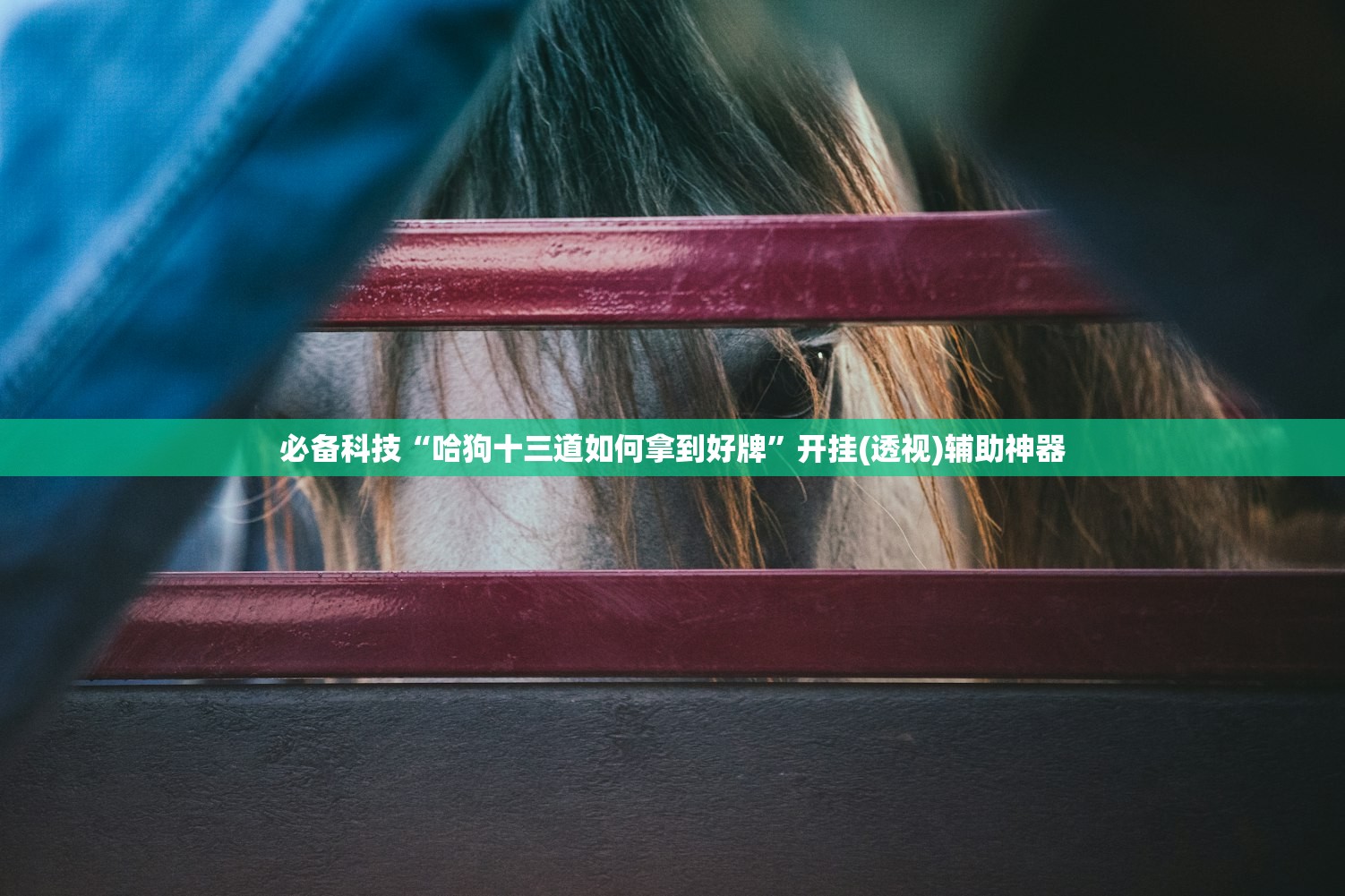 开挂辅助工具“心悦填大坑辅助器下载”(透视)其实确实有挂