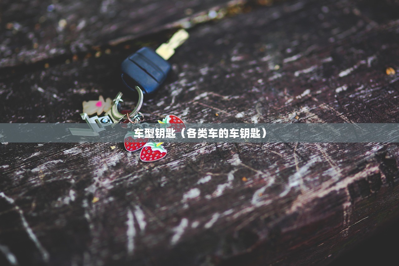 车型钥匙（各类车的车钥匙）