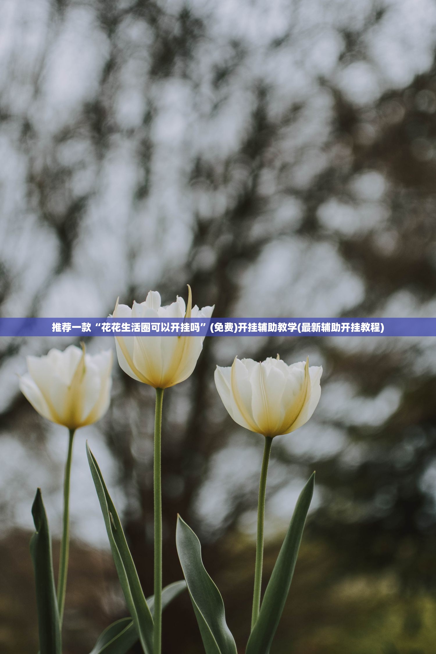 推荐一款“花花生活圈可以开挂吗”(免费)开挂辅助教学(最新辅助开挂教程)