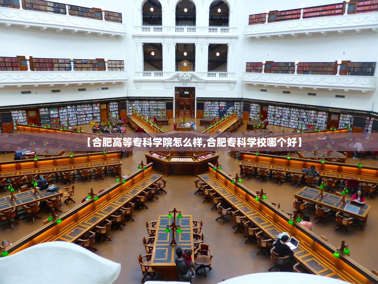 【合肥高等专科学院怎么样,合肥专科学校哪个好】