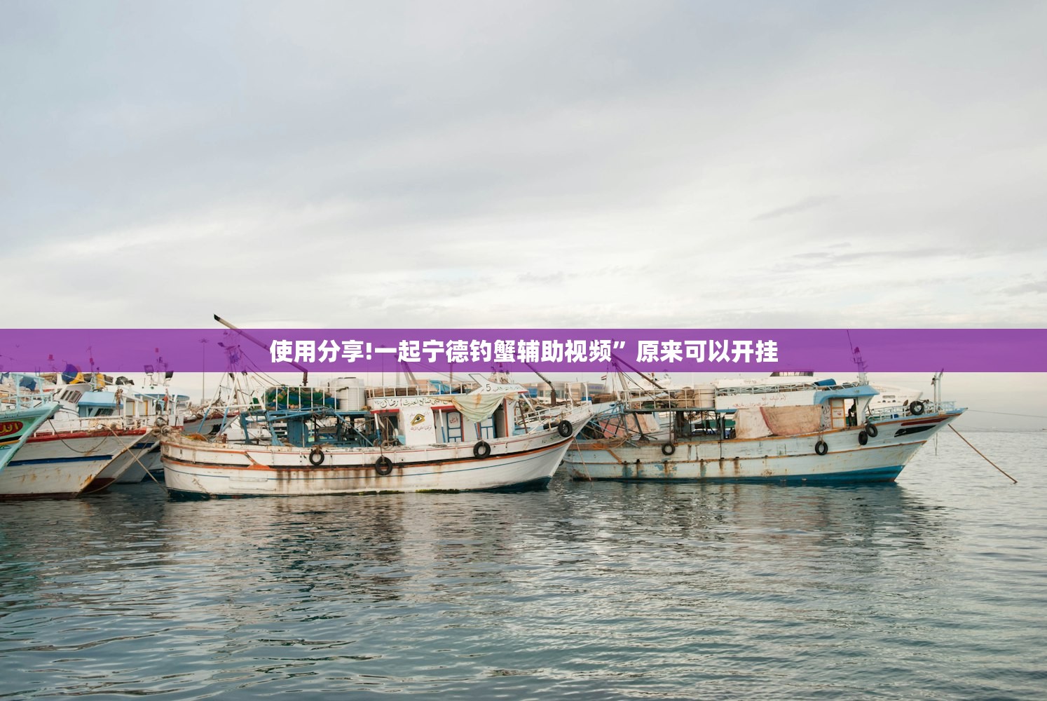 【31省区市新增19例境外输入确诊/31省新增境外输入确诊12例】