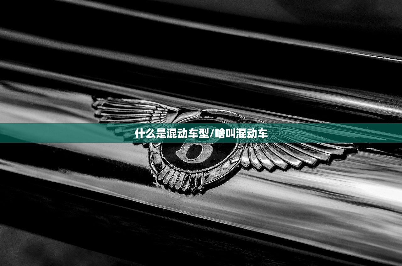 什么是混动车型/啥叫混动车