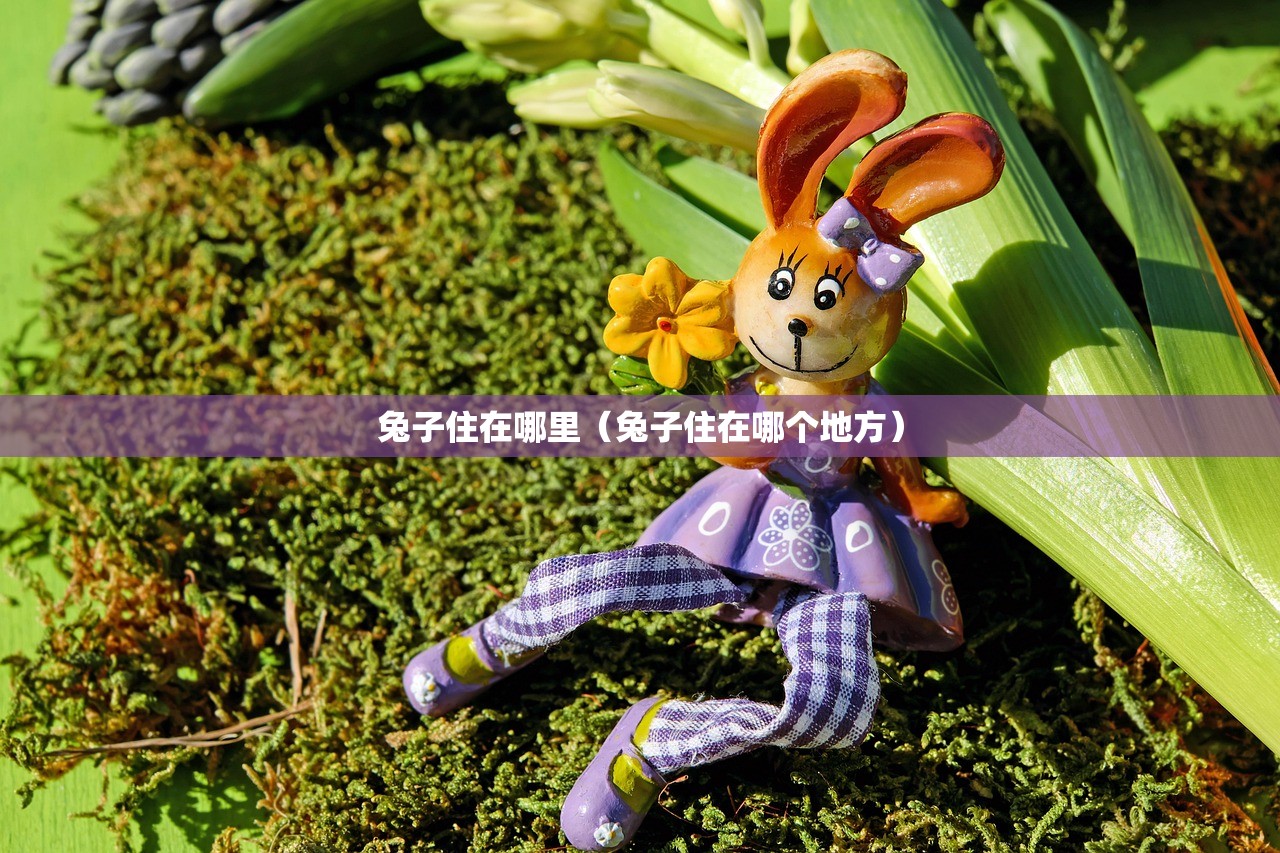 兔子住在哪里（兔子住在哪个地方）