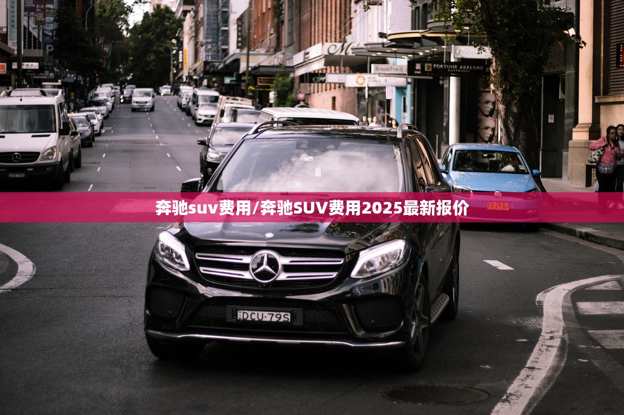 奔驰suv费用/奔驰SUV费用2025最新报价