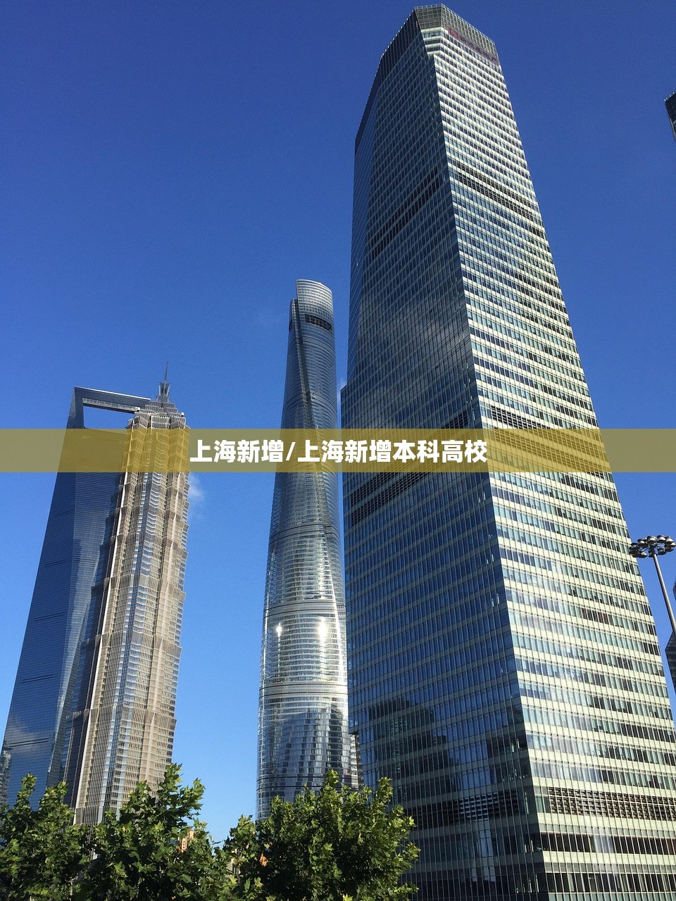 上海新增/上海新增本科高校