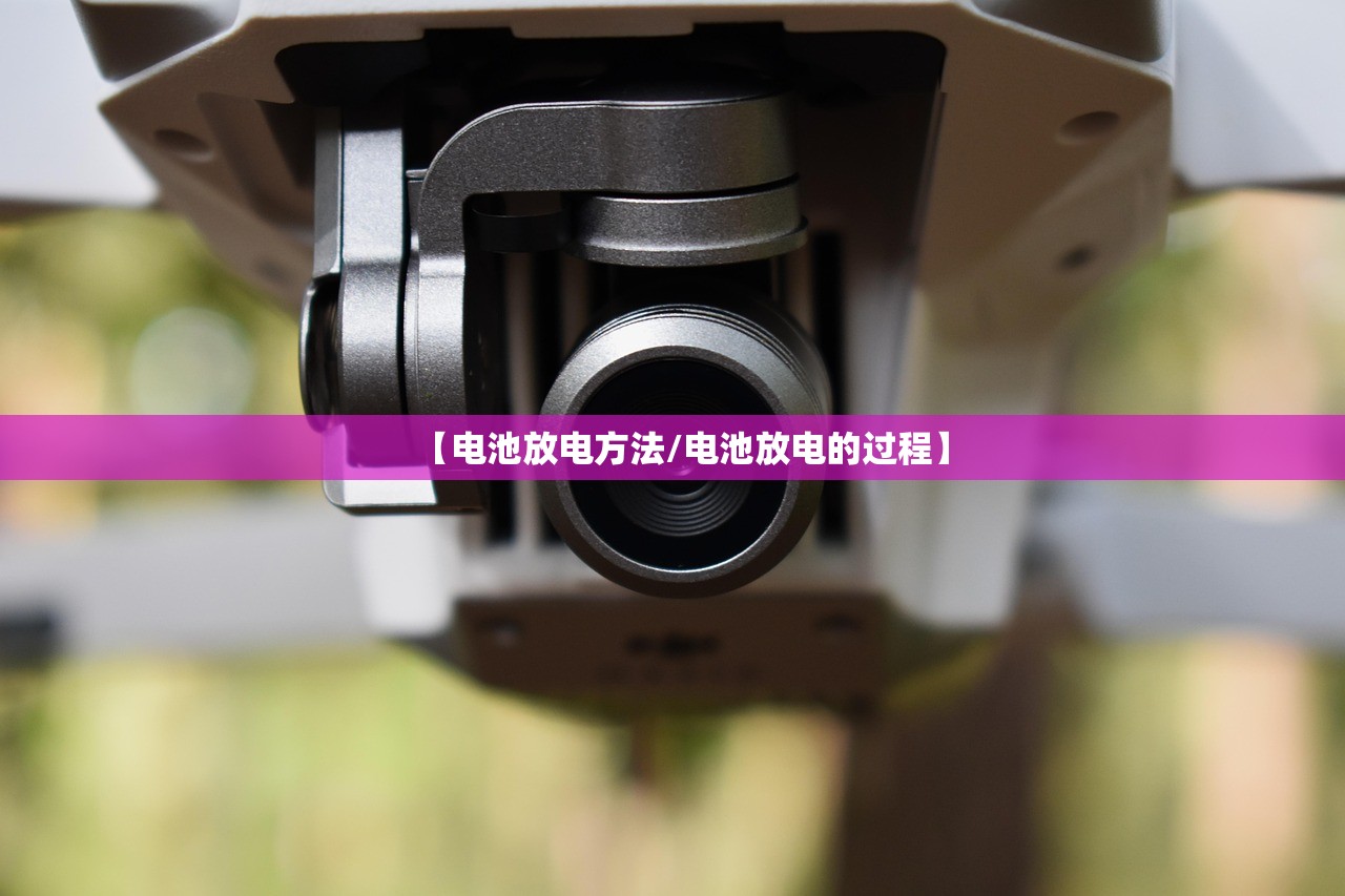 【电池放电方法/电池放电的过程】 【电池放电方法/电池放电的过程】