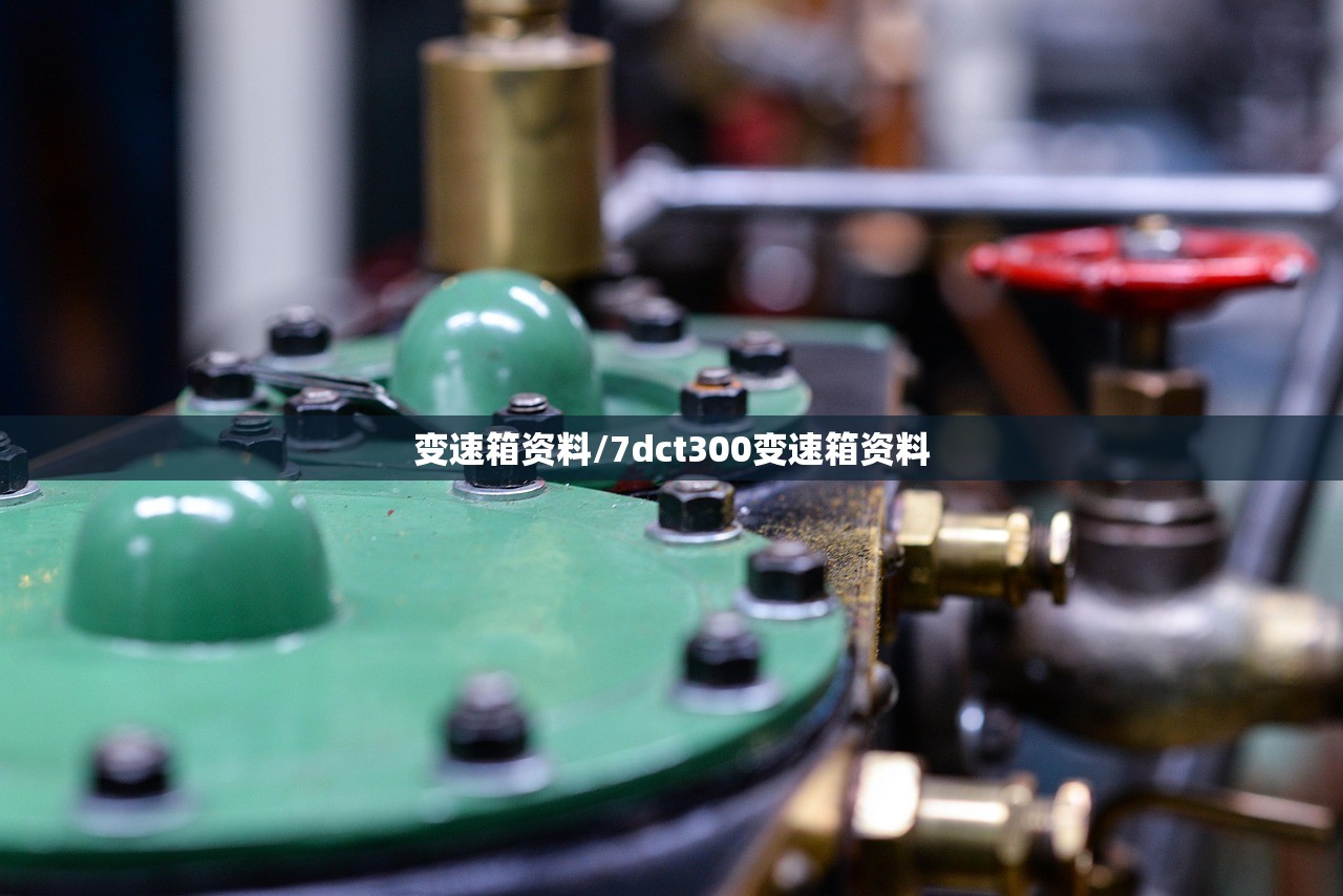 变速箱资料/7dct300变速箱资料