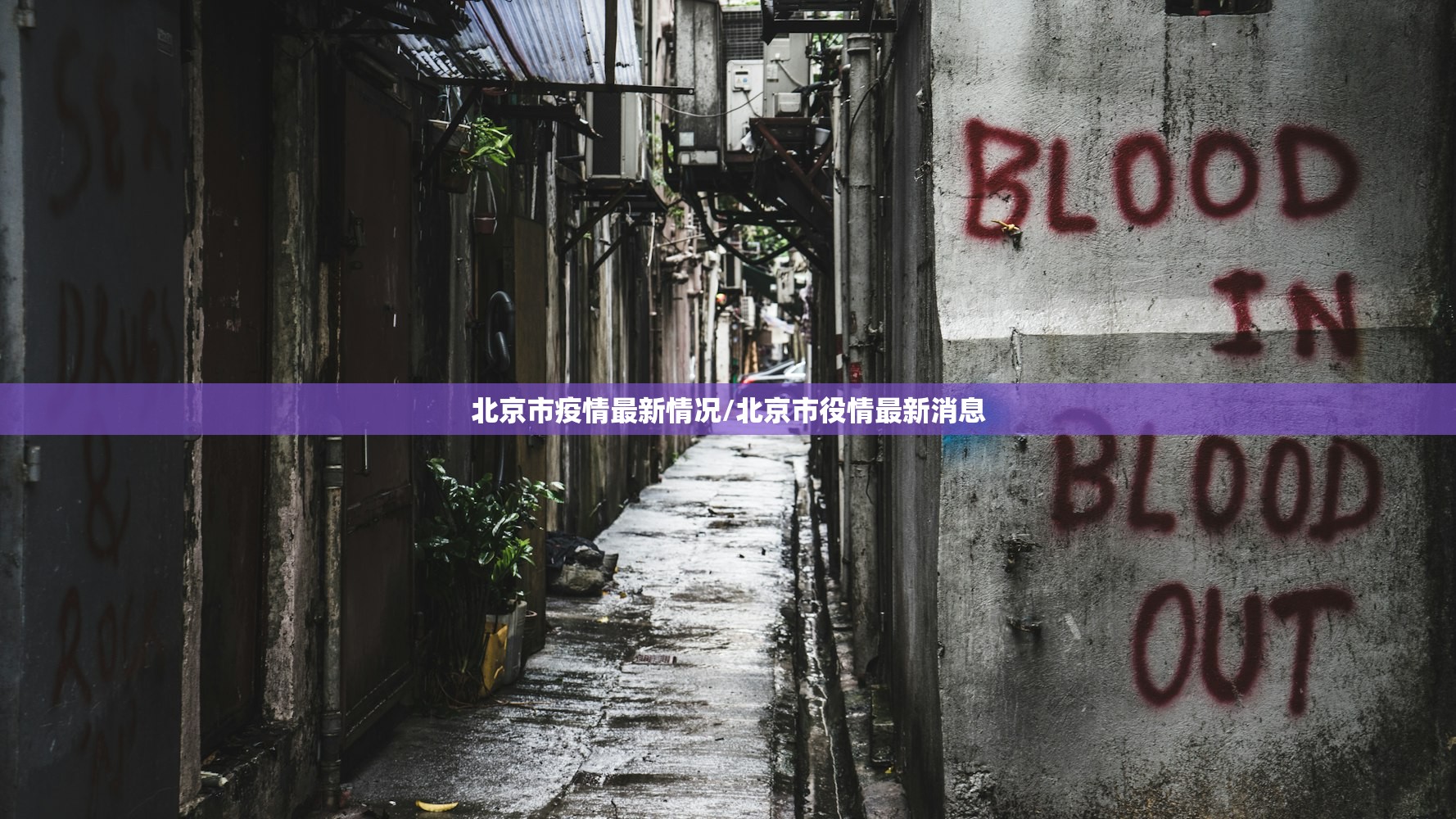 北京市疫情最新情况/北京市役情最新消息