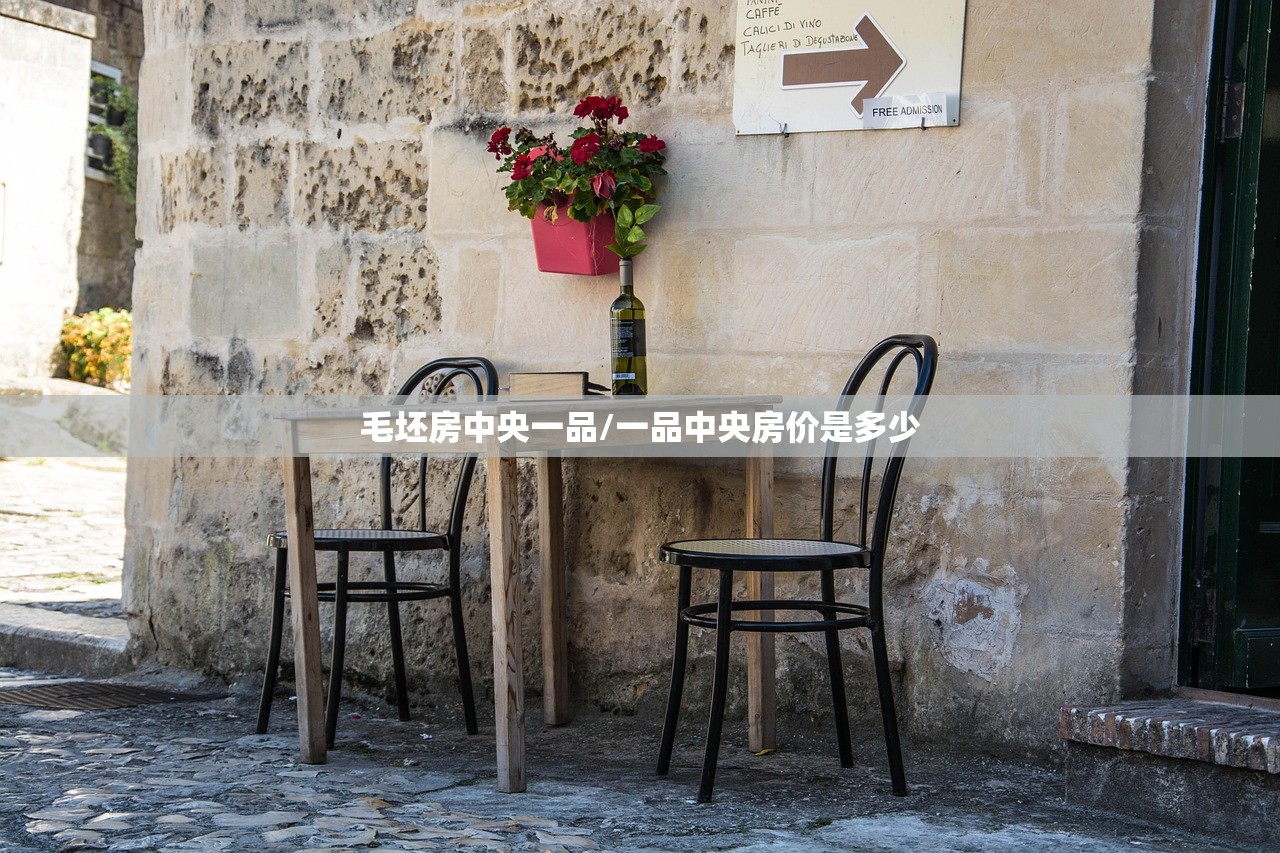 毛坯房中央一品/一品中央房价是多少