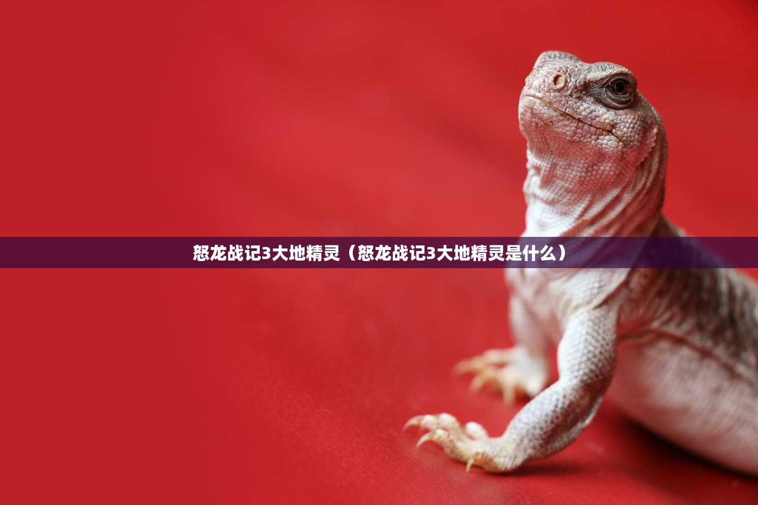 怒龙战记3大地精灵（怒龙战记3大地精灵是什么）