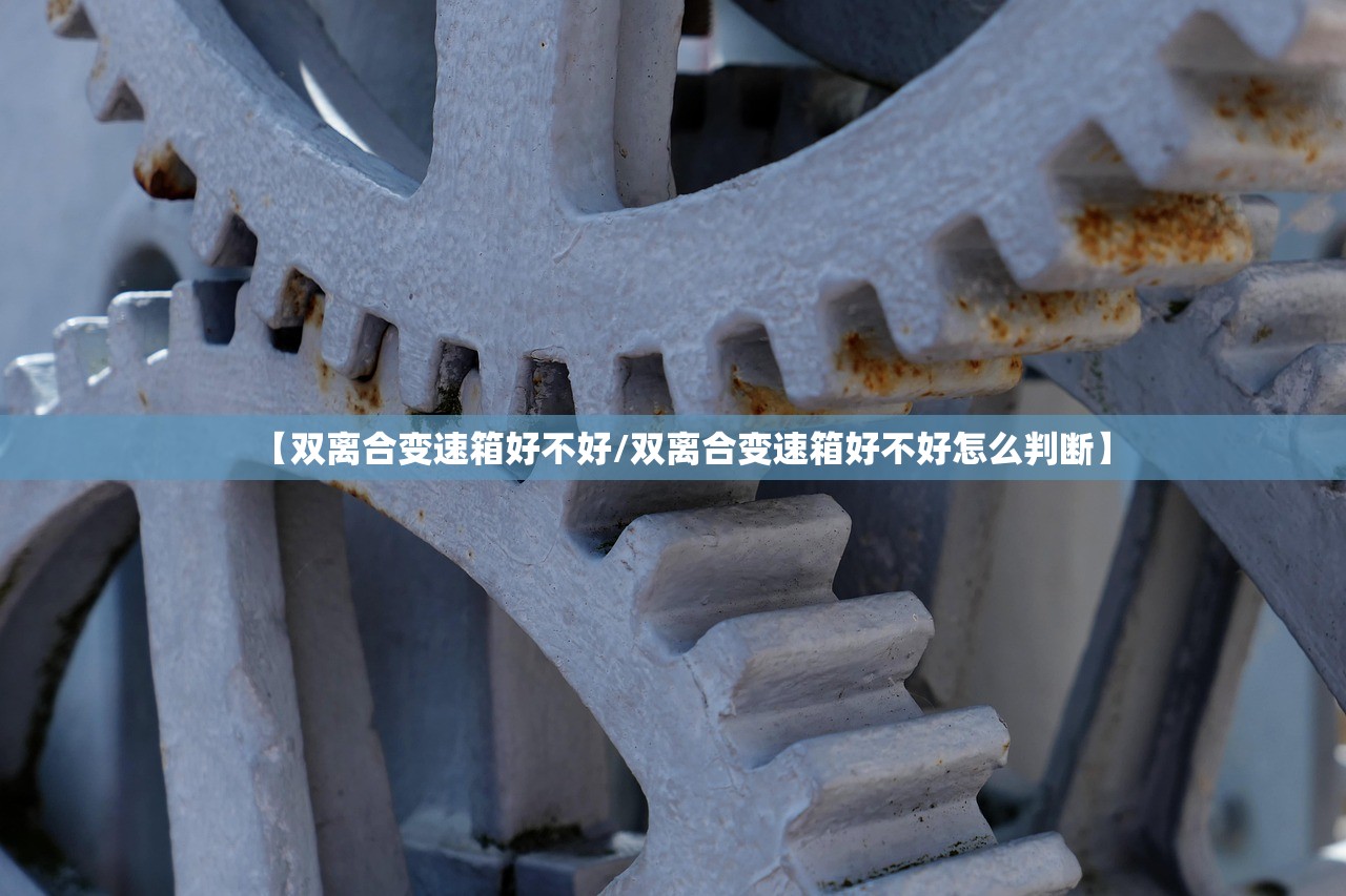 【双离合变速箱好不好/双离合变速箱好不好怎么判断】