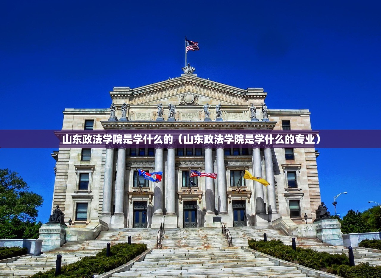 山东政法学院是学什么的（山东政法学院是学什么的专业）