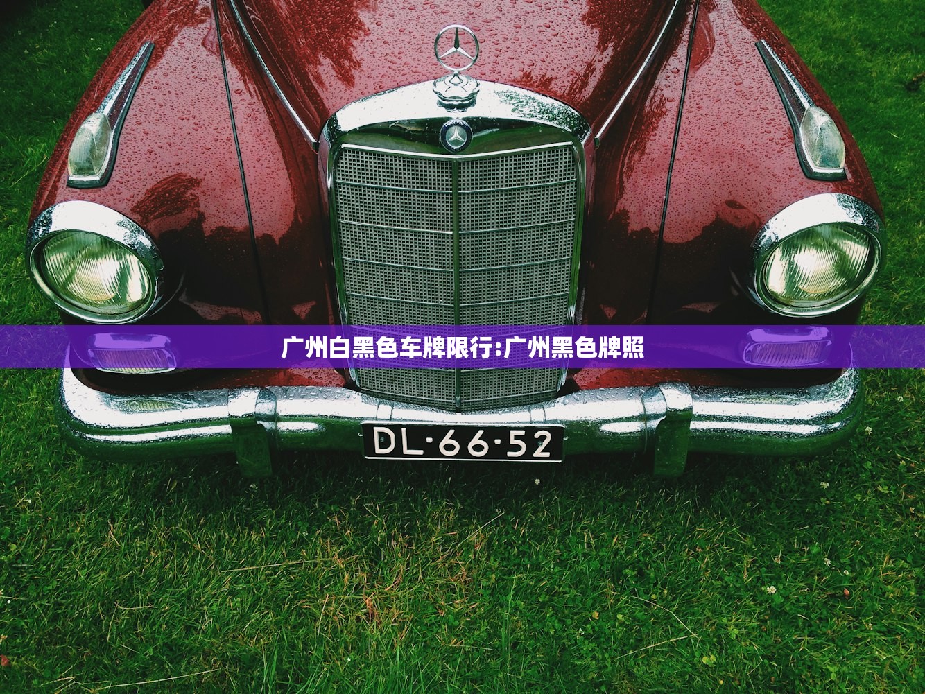 广州白黑色车牌限行:广州黑色牌照